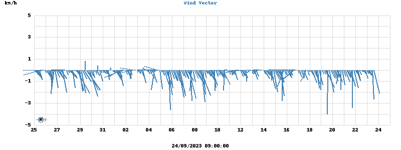 Wind Vector